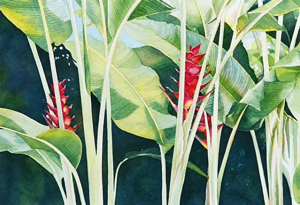 Red heliconias among pale leaves.