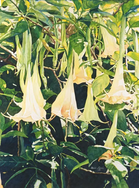 White trumpet flowers.
