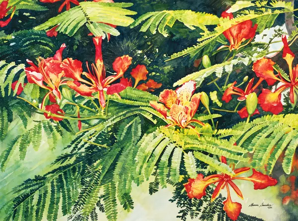 Red tropical flowers.